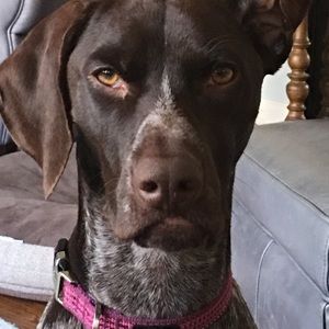 Meet your Posher, Selena